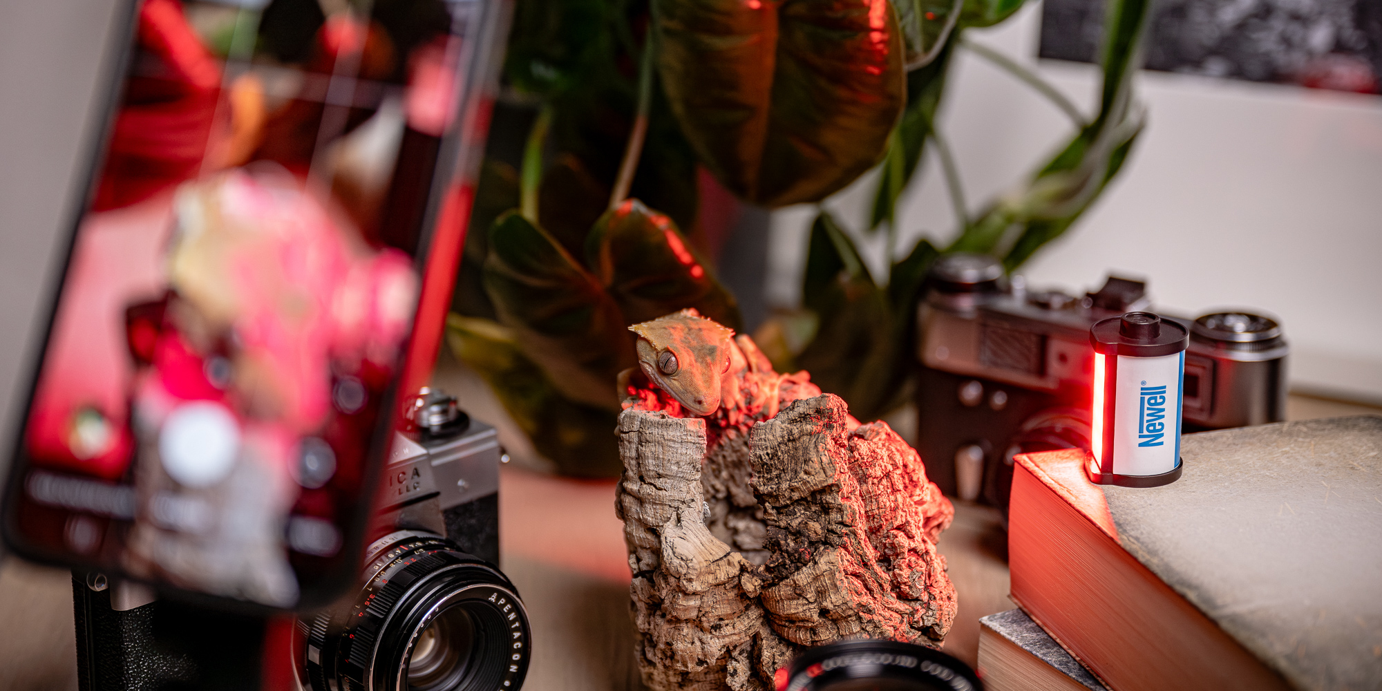 Lampka LED Newell RGB MiniReels